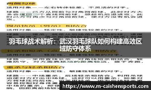 羽毛球战术解析：武汉羽毛球队如何构建高效区域防守体系